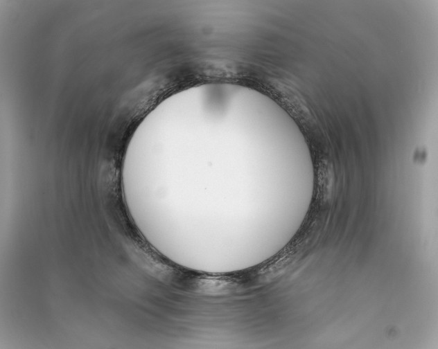 X0000090750614200708101726