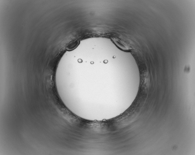 X0000090750615200708101726