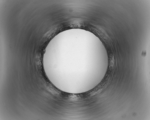 X0000090750616200708101726