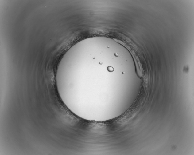 X0000090750617200708101726