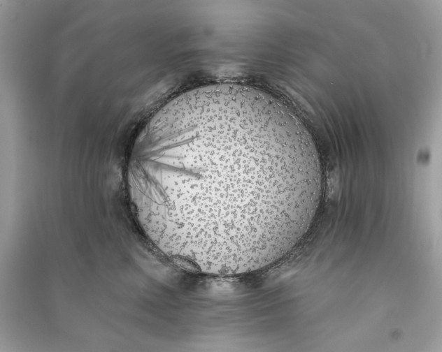 X0000090750618200708101726