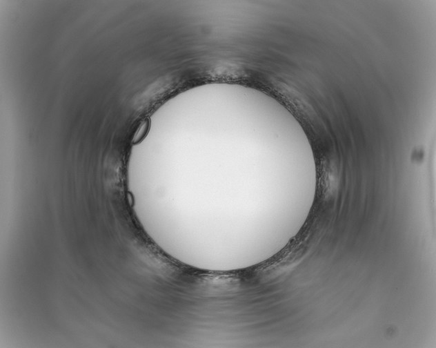 X0000090750619200708101726
