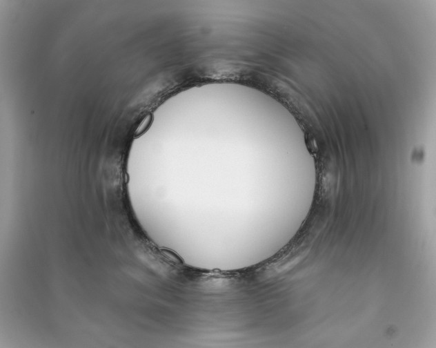 X0000090750620200708101726
