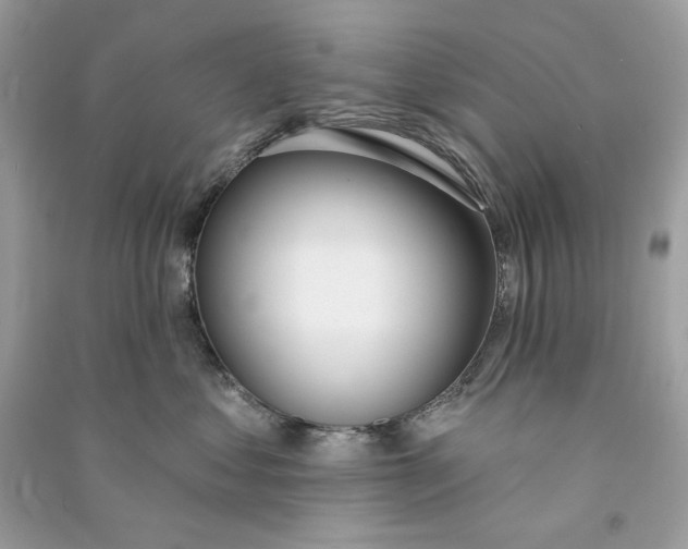 X0000090750621200708101726