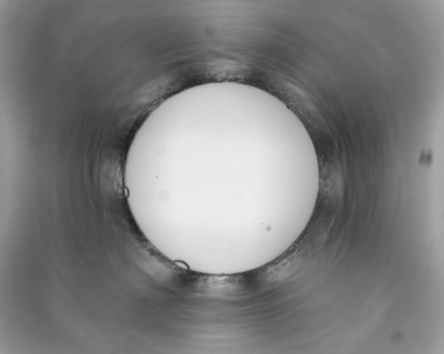 X0000090750622200708101726