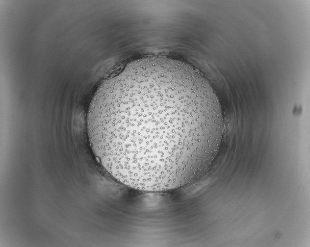 X0000090750623200708101726
