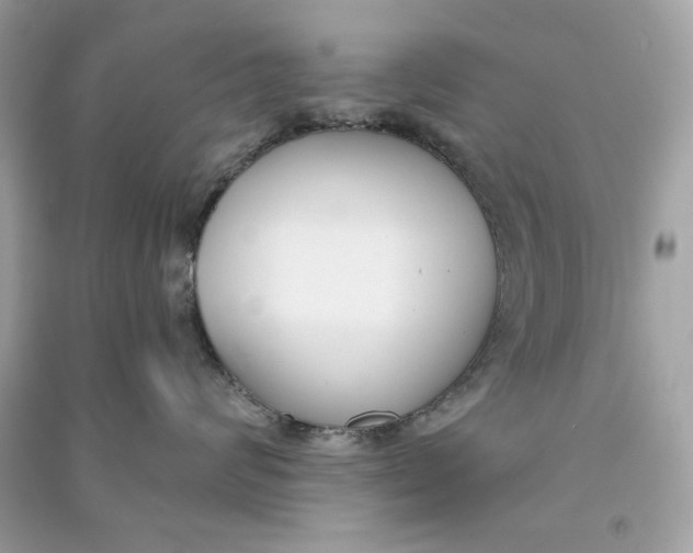 X0000090750624200708101726