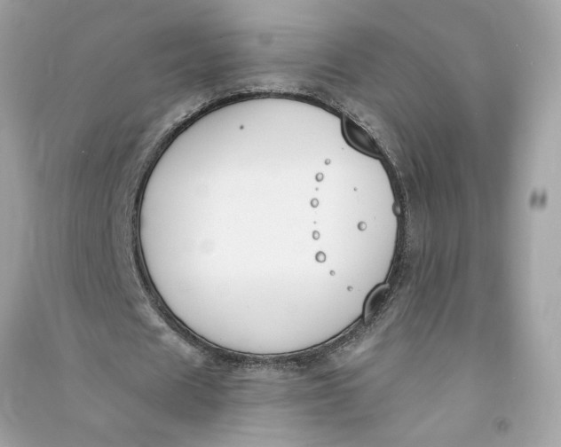 X0000090750625200708101726