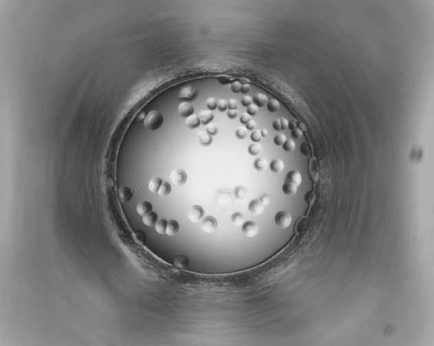 X0000090750626200708101726