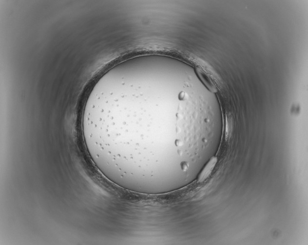 X0000090750627200708101726