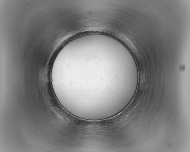 X0000090750628200708101726