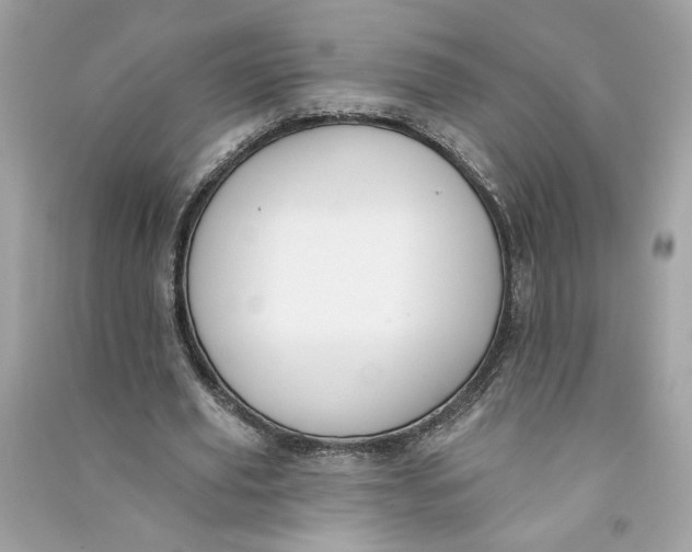 X0000090750629200708101726
