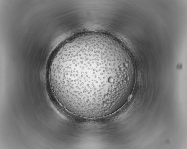 X0000090750630200708101726