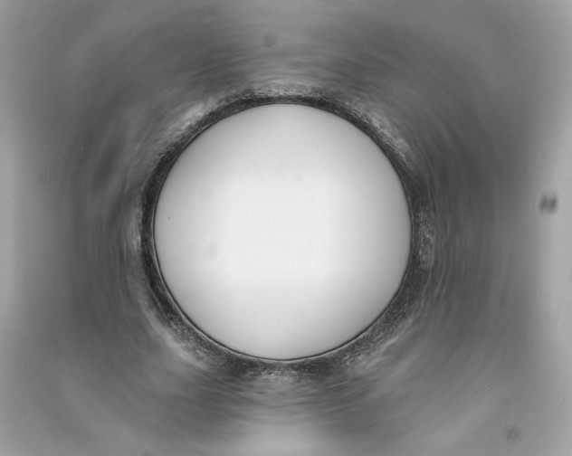 X0000090750631200708101726