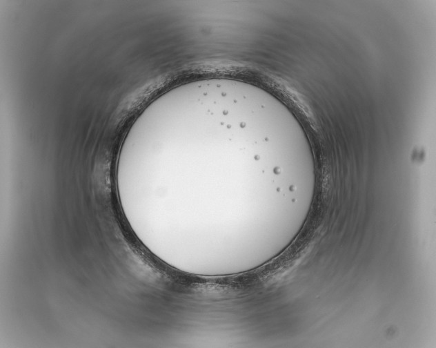 X0000090750633200708101726
