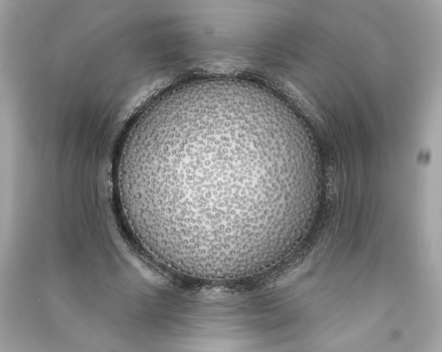 X0000090750634200708101726