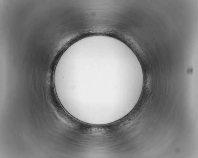 X0000090750636200708101726