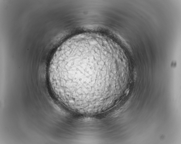 X0000090750637200708101726
