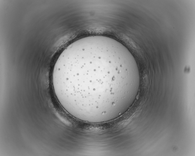X0000090750638200708101726