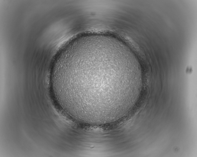 X0000090750640200708101726