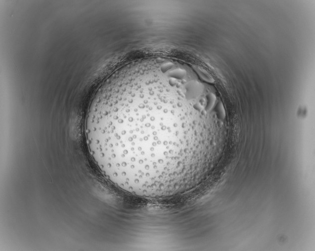 X0000090750641200708101726