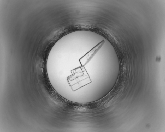 X0000090750643200708101726