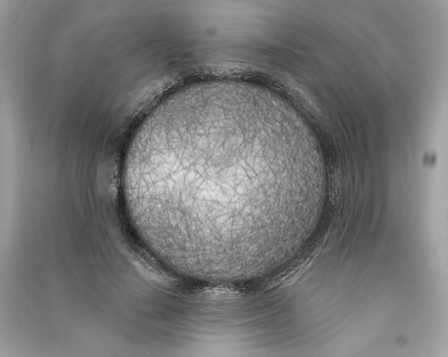 X0000090750644200708101726
