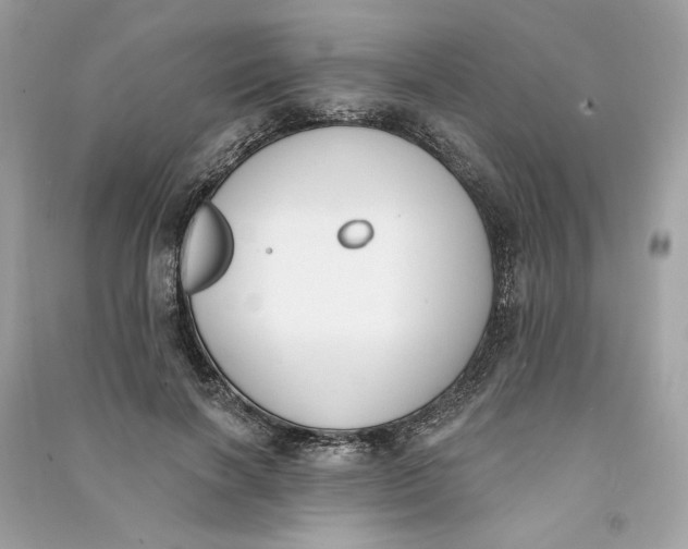 X0000090750646200708101726