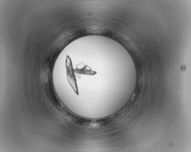 X0000090750647200708101726