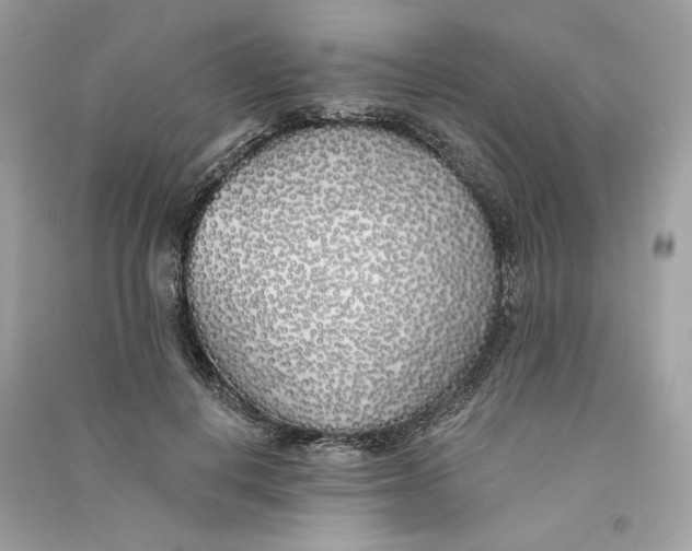X0000090750648200708101726
