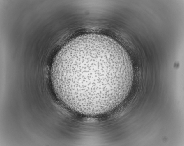 X0000090750649200708101726