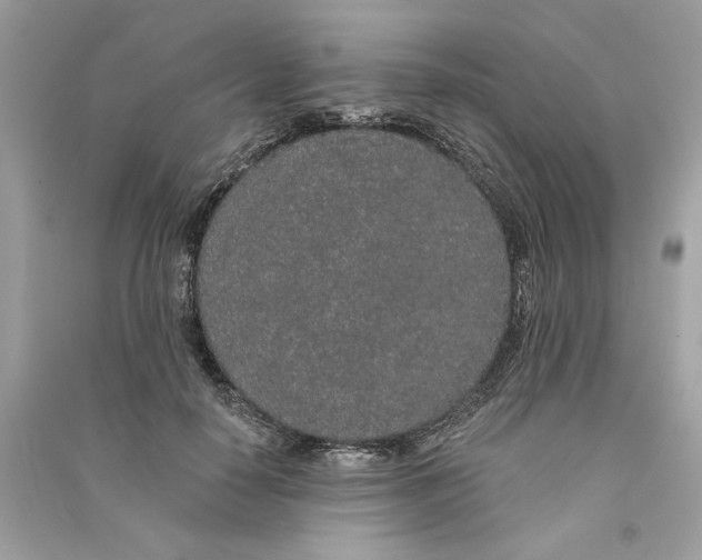 X0000090750650200708101726