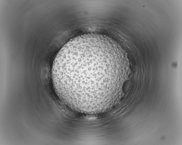 X0000090750651200708101726