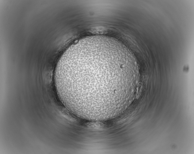 X0000090750652200708101726
