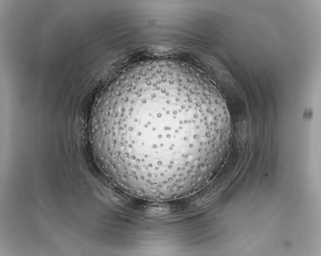 X0000090750653200708101726