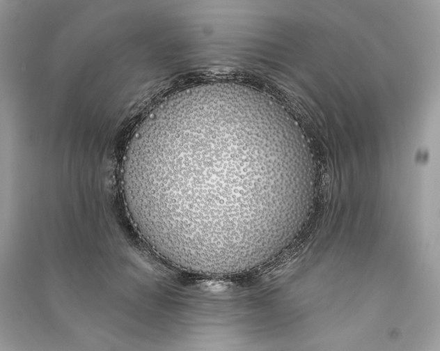 X0000090750654200708101726