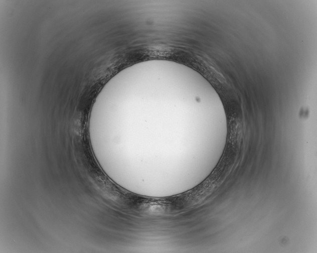 X0000090750655200708101726
