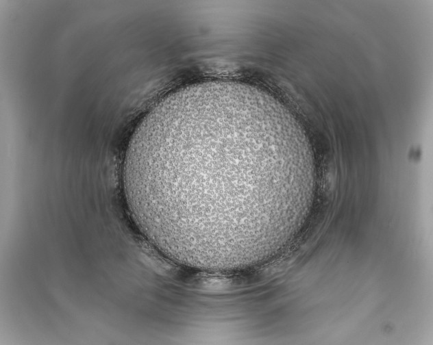 X0000090750658200708101726