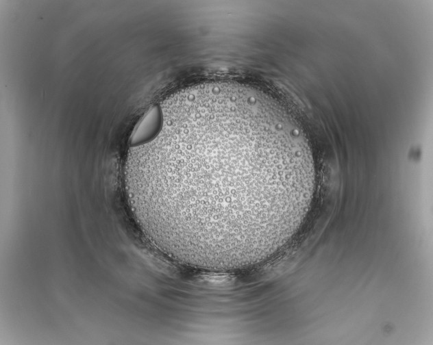 X0000090750659200708101726