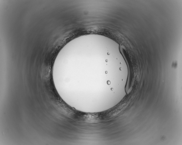 X0000090750660200708101726