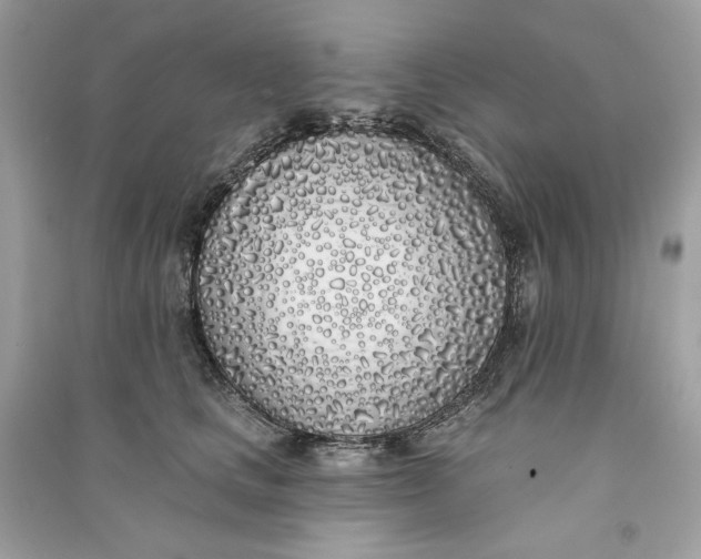 X0000090750661200708101726
