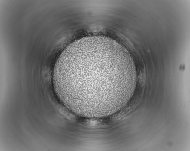 X0000090750662200708101726