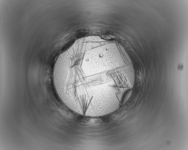 X0000090750663200708101726