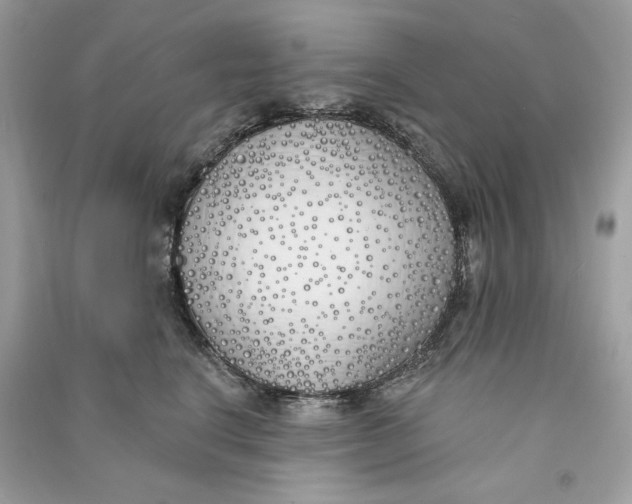 X0000090750664200708101726