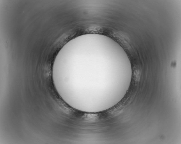 X0000090750665200708101726