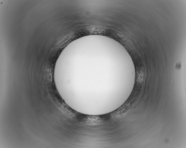 X0000090750666200708101726
