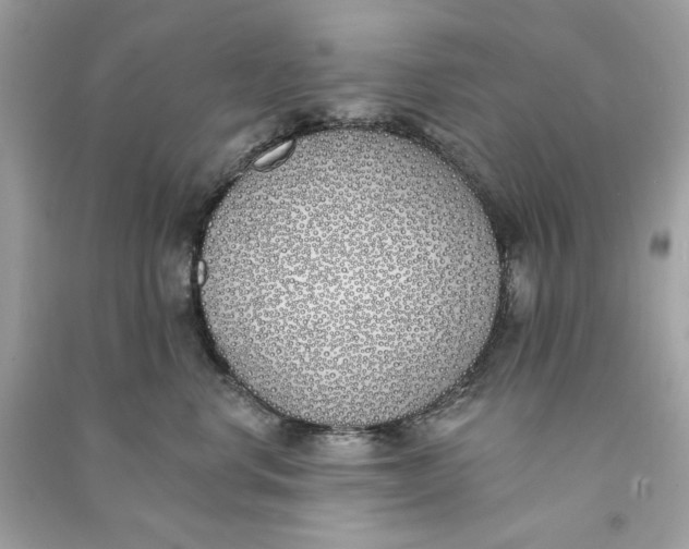 X0000090750668200708101726