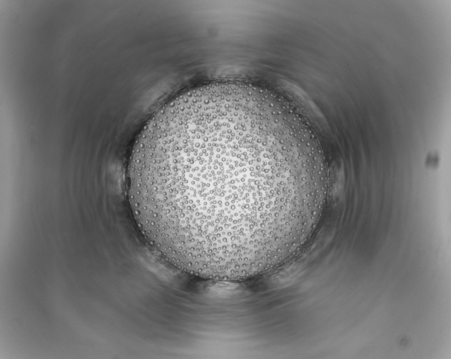 X0000090750669200708101726