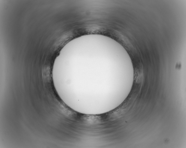 X0000090750670200708101726