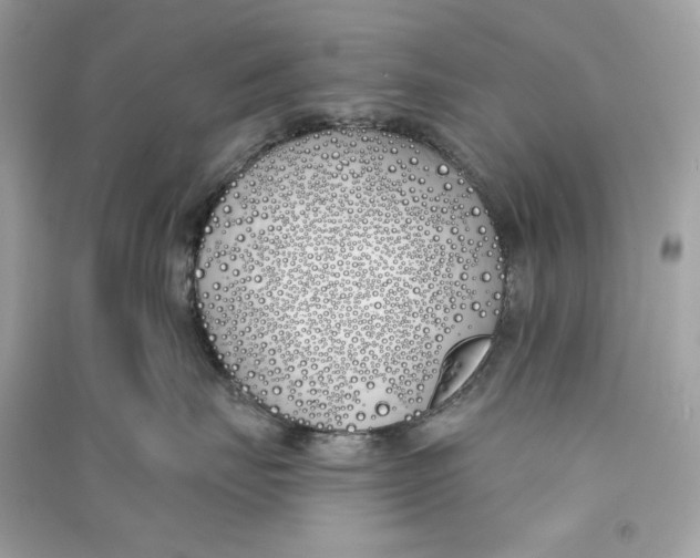X0000090750671200708101726